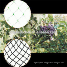 HDPE and Nylon Anti Pet Bird Net with high performance